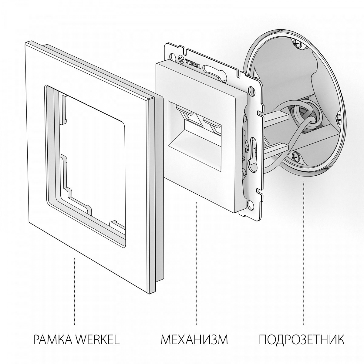 Розетка двойная Ethernet RJ-45 (слоновая кость) W1181103